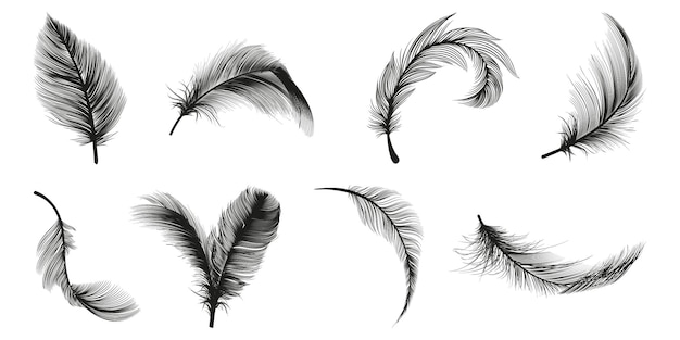 Set of black feather icon Black feather collection Set of detailed majestic feather Feather icon collection