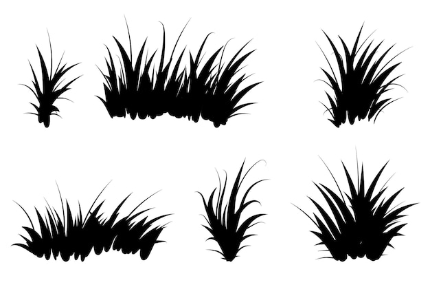 Set of black grass Grass bushes of different shapes Hand drawn grass Grass silhouettes Vector illustration