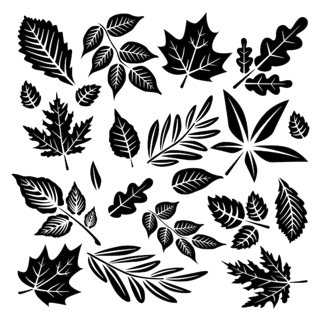 Set black icons leaves of different plants Tropical leaf plant and tree Black silhouettes leaves isolated on a white background Vector illustration autumn leaves in flat style