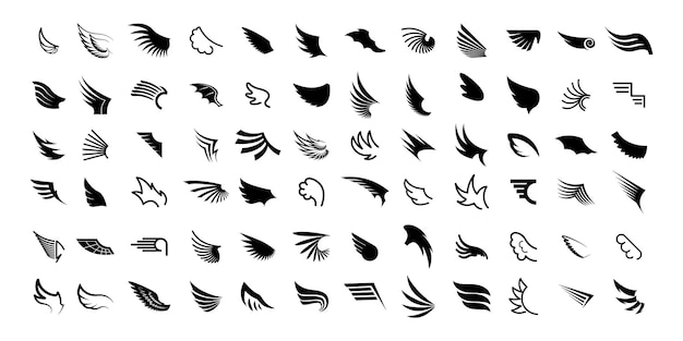 Set Black Line Flat Collection Wings Vector Icon Feather Design Style Decoration Sketch Cartoon