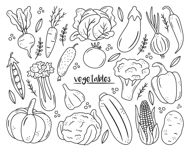 Vector set of black outline vegetable icons hand drawn drawings of carrot cabbage broccoli corn pumpkin