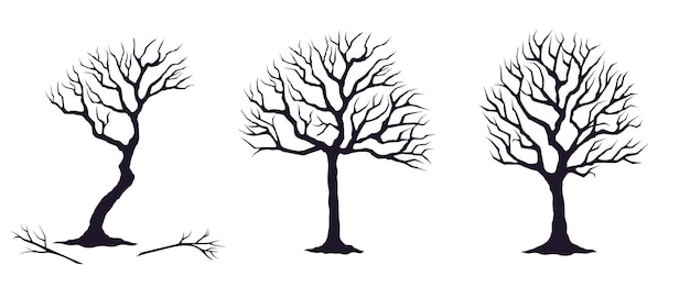 Set of black silhouettes of bare trees isolated on white background Black trees with broken branches