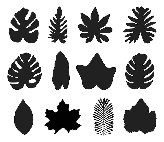 Set of black silhouettes of tropical leaves palms, trees.