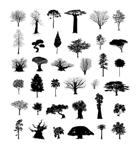 Vector set of black trees