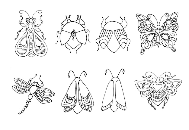 A set of black and white handdrawn insect drawings on a white background