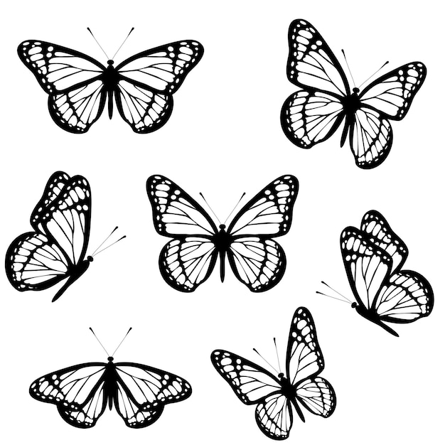 Набор черно-белых бабочек-монархов на белом фоне Векторная иллюстрация