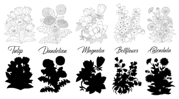 Set of black and white outline flowers Tulip Magnolia Dandelion Bellflower Calendula