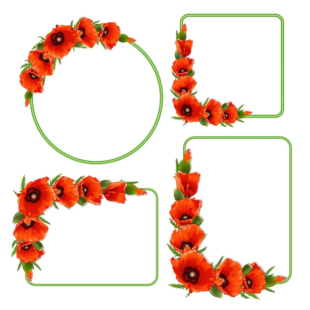 Set bloemen frame met rode papavers vector achtergrond