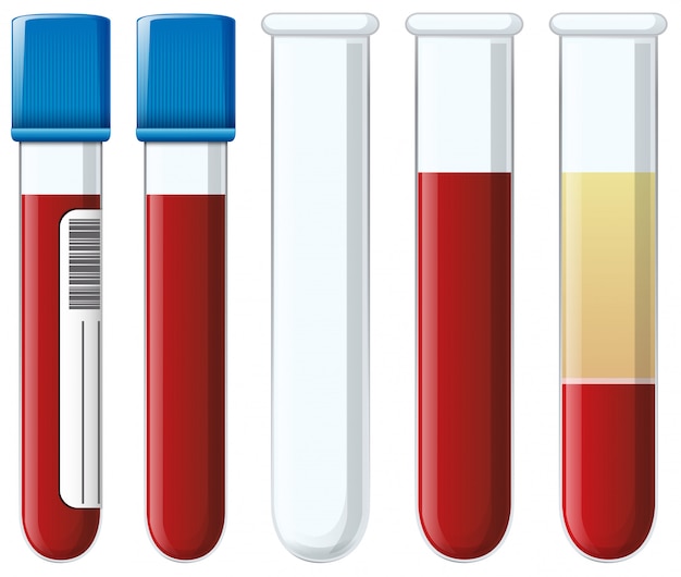 Vector set of blood collection tubes