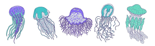 Set blue jellyfishes different forms Vector wild ocean animals underwater life doodle line isolated illustrations