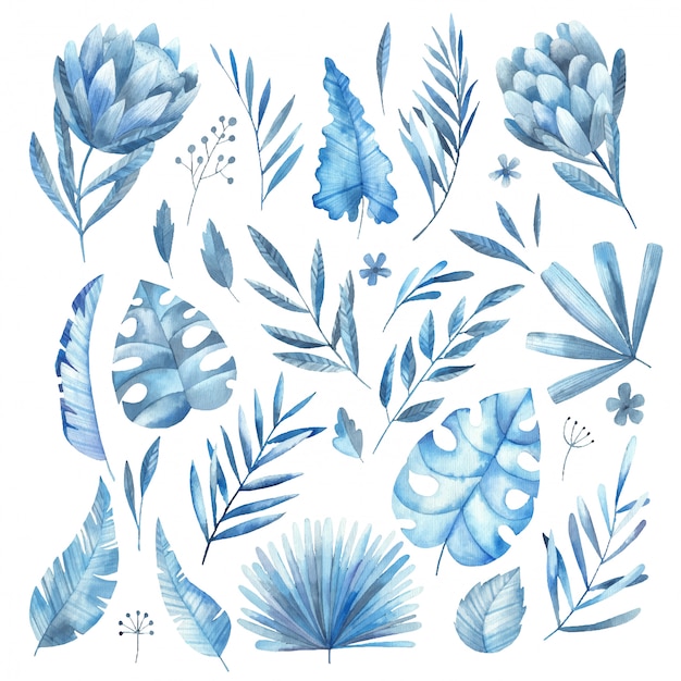 Set of blue tropical leaves and protea flowers watercolor illustration