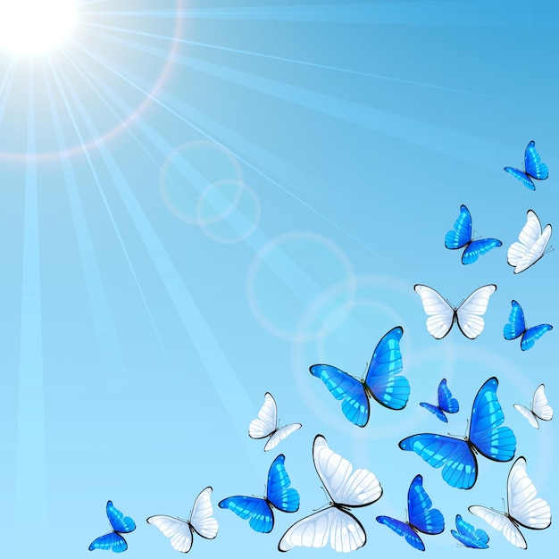 Set of blue and white butterflies on sky background illustration