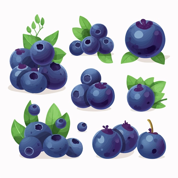 A set of blueberry illustrations in a handdrawn style