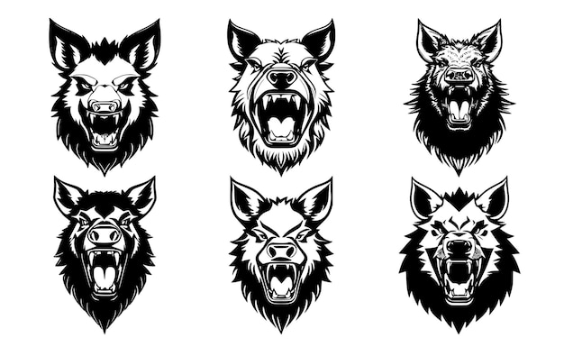 Set of boar heads with open mouth and bared fangs with different angry expressions of the muzzle Symbols for tattoo emblem or logo isolated on a white background