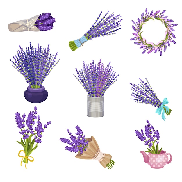 Set boeketten en kransen van lavendel Vector illustratie op een witte achtergrond