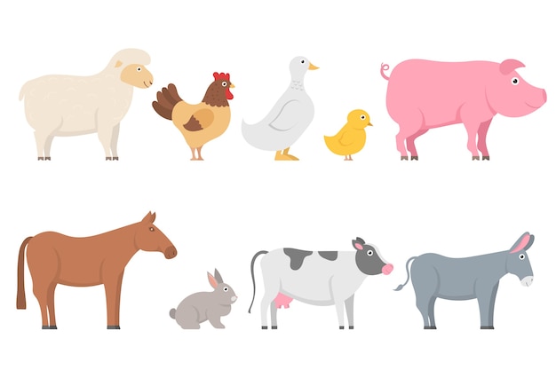 Set boerderijdieren en vogels in trendy vlakke stijl. Verzameling van stripfiguren geïsoleerd op een witte achtergrond. Schapen, geit, koe, ezel, paard, varken, kat, hond, eend, gans, kip, haan.