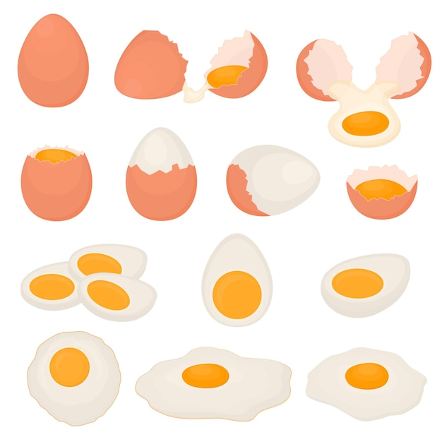 Set of boiled, raw and fried chicken eggs. Scrambled eggs for Breakfast. Brown shell. Healthy food. Vector illustration