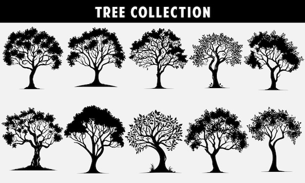 set bomen silhouetten vector zwart