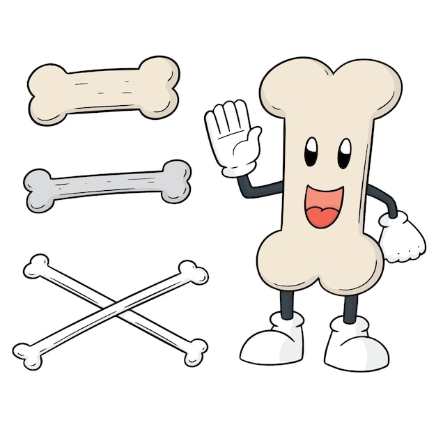 Vector set of bone