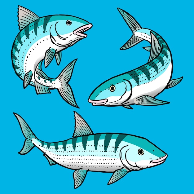 set of Bonefish for commercial design