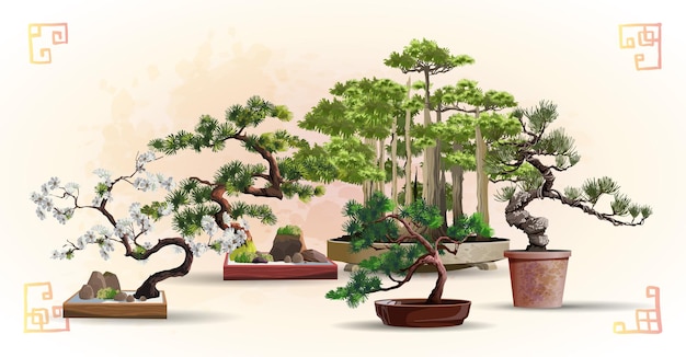 Set of bonsai Japanese trees grown in containers. Beautiful realistic tree. Tree in bonsai style. Bonsai tree on the red box. Decorative little tree vector illustration. Nature art