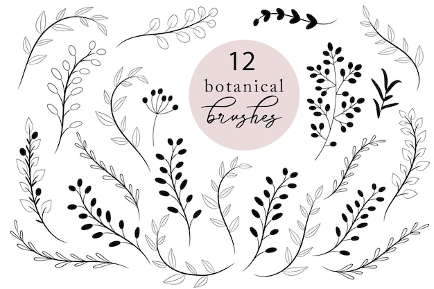 Set di pennelli botanici rami e foglie disegnati a mano rustici
