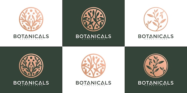 Set di design del modello di logo aziendale botanico per il business biologico vettore premium