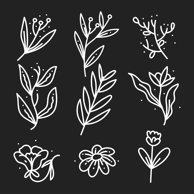 Set of botanical flower leaf doodle line art