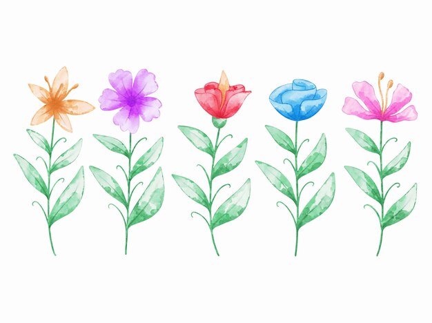 Vector set of botanical flowers watercolor