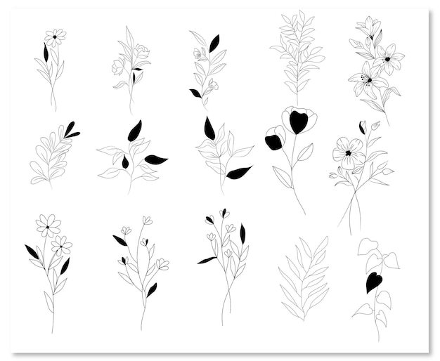 Set of botanical leaf doodle flower line art