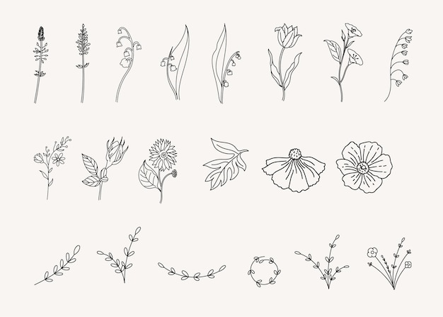 Set of botanical leaf doodle line art hand drawn floral decorative elements