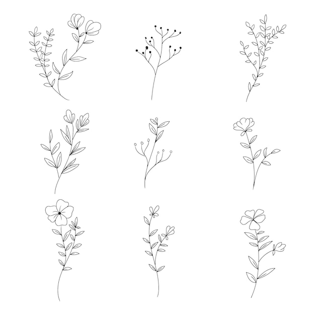 Set of botanical leaf doodle wildflower line art