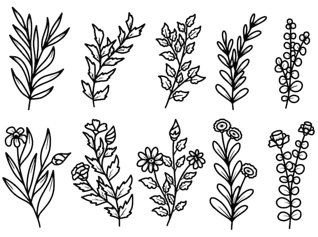 手描き線画花と植物の葉のセット