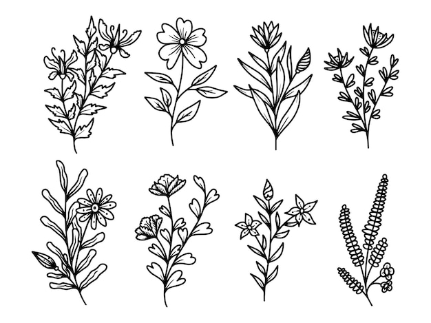 손으로 그린 라인 아트 꽃과 식물 잎의 세트
