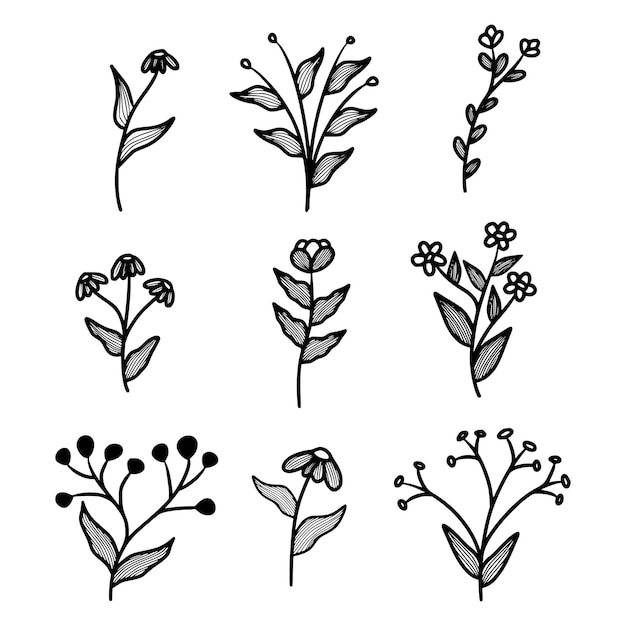 Vector set of botanical leaves doodle flower line art