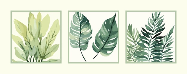 Vector set of botanical leaves wall art design template in minimalist and tropical style