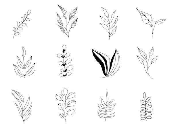 Set of botanical line art floral leaves plants Hand drawn sketch branches isolated on white
