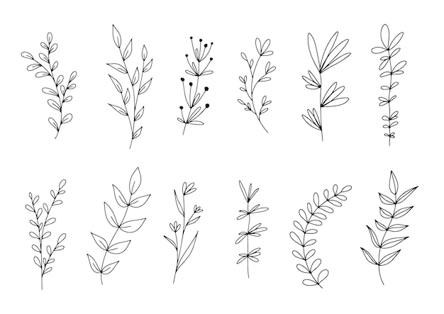 Set of botanical line art floral leaves plants hand drawn sketch branches isolated on white