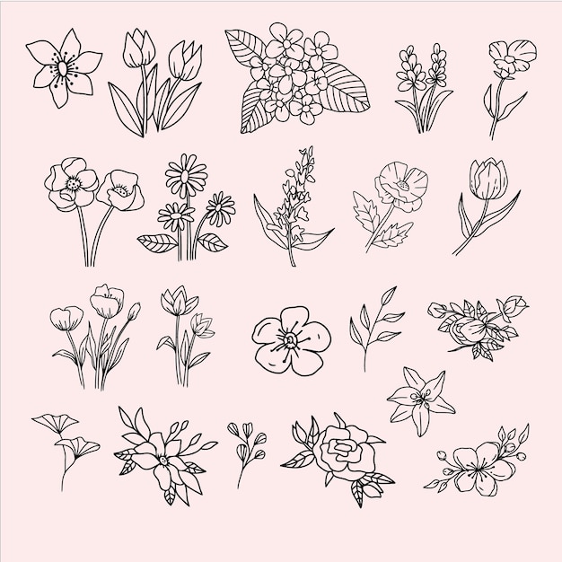 Vector set of botanical line art flower