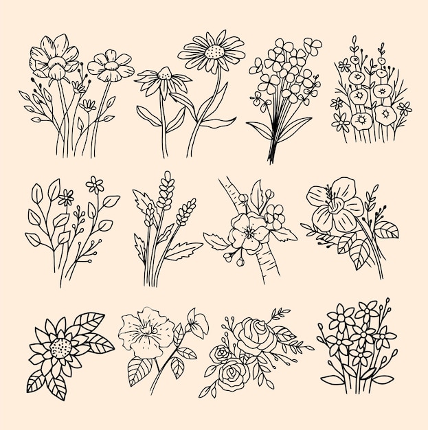 Set of botanical line art flower