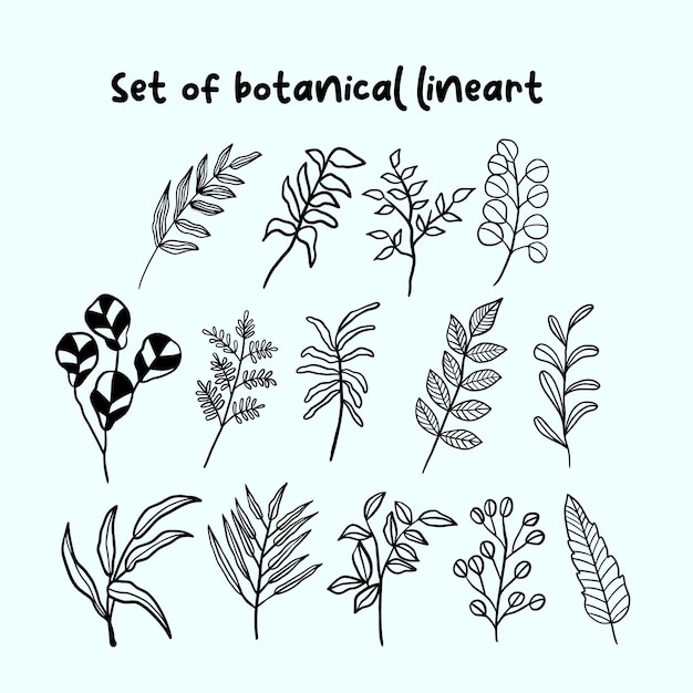 Vector set of botanical lineart