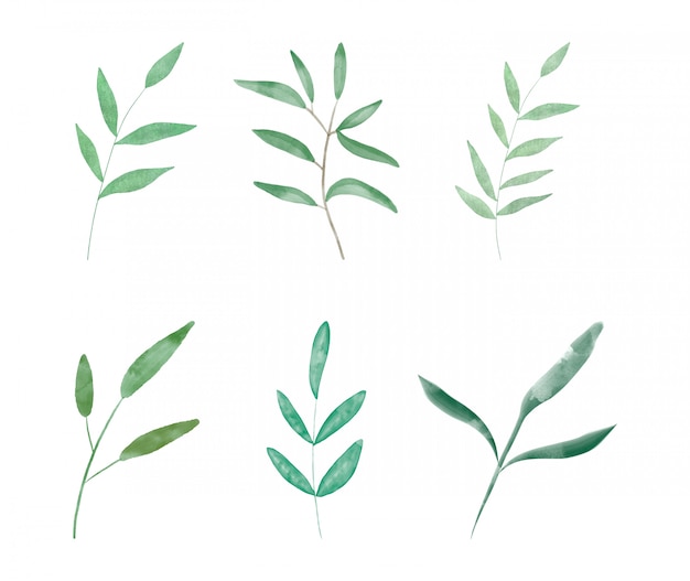 Set botanical watercolour leaves digital clip art.