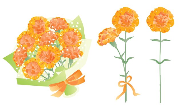 母の日のオレンジ色のカーネーションの花束のセット