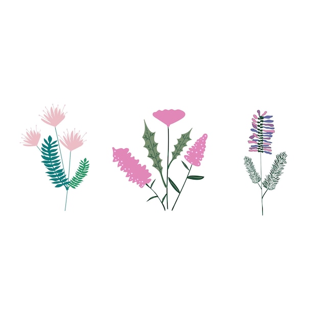 Set of bouquets. Floral compositions. Vector illustration.