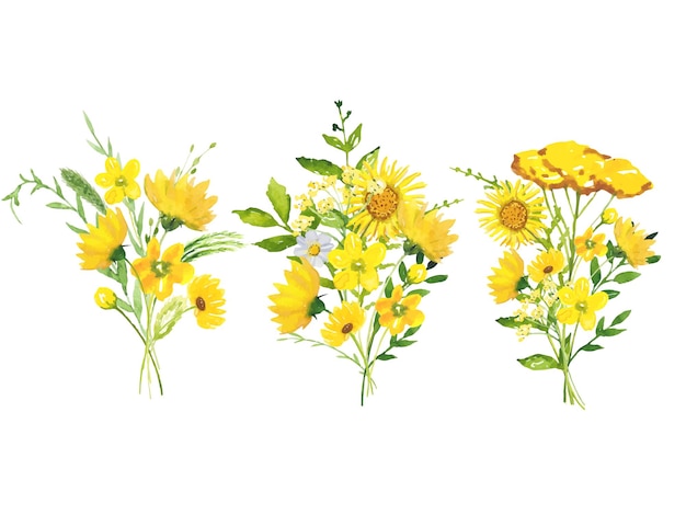 Set of bouquets with meadow yellow flowers and leaves watercolor floral illustration