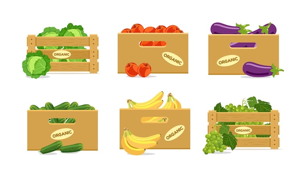 Vector set of boxes with fruits and vegetables. with cabbage, apples, eggplants, cucumbers, bananas