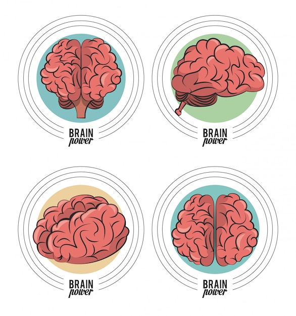 Set of brain power round emblems 