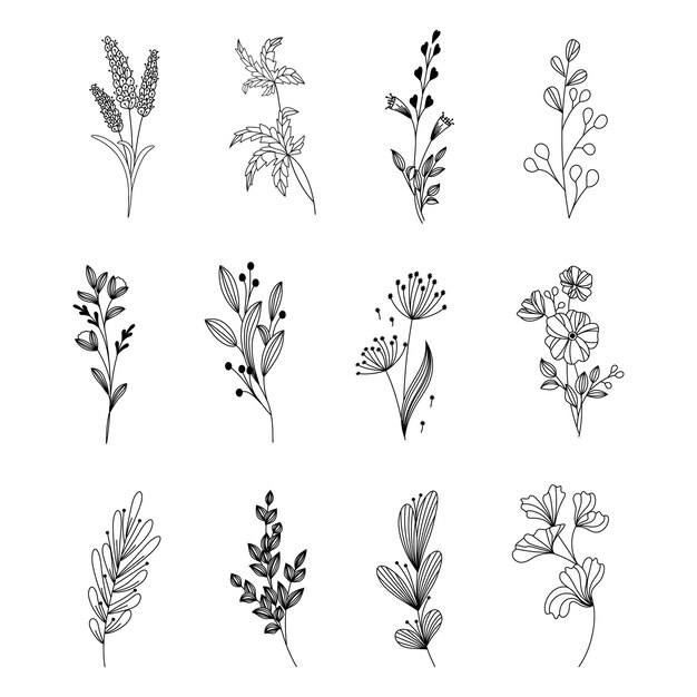 Set di collezione di rami e foglie set vintage di fiori disegnati a mano illustrazione artistica a schizzi