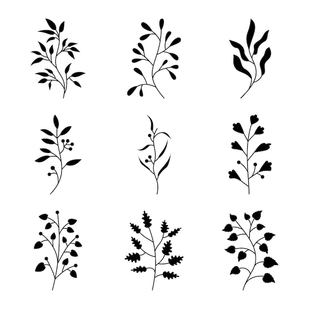 Set of branch and leaves vector