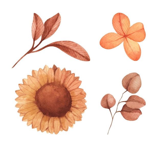 Set of branches leaves and flower autumn decorative elements watercolor collection in vintage style